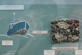 A diagram of a boat covered with mollusks alongside a real-life sample of a surface, possibly a ship hull, encrusted with shells and other marine life. Labels in a Slavic language likely categorize the organisms and explain the marine encrustation.