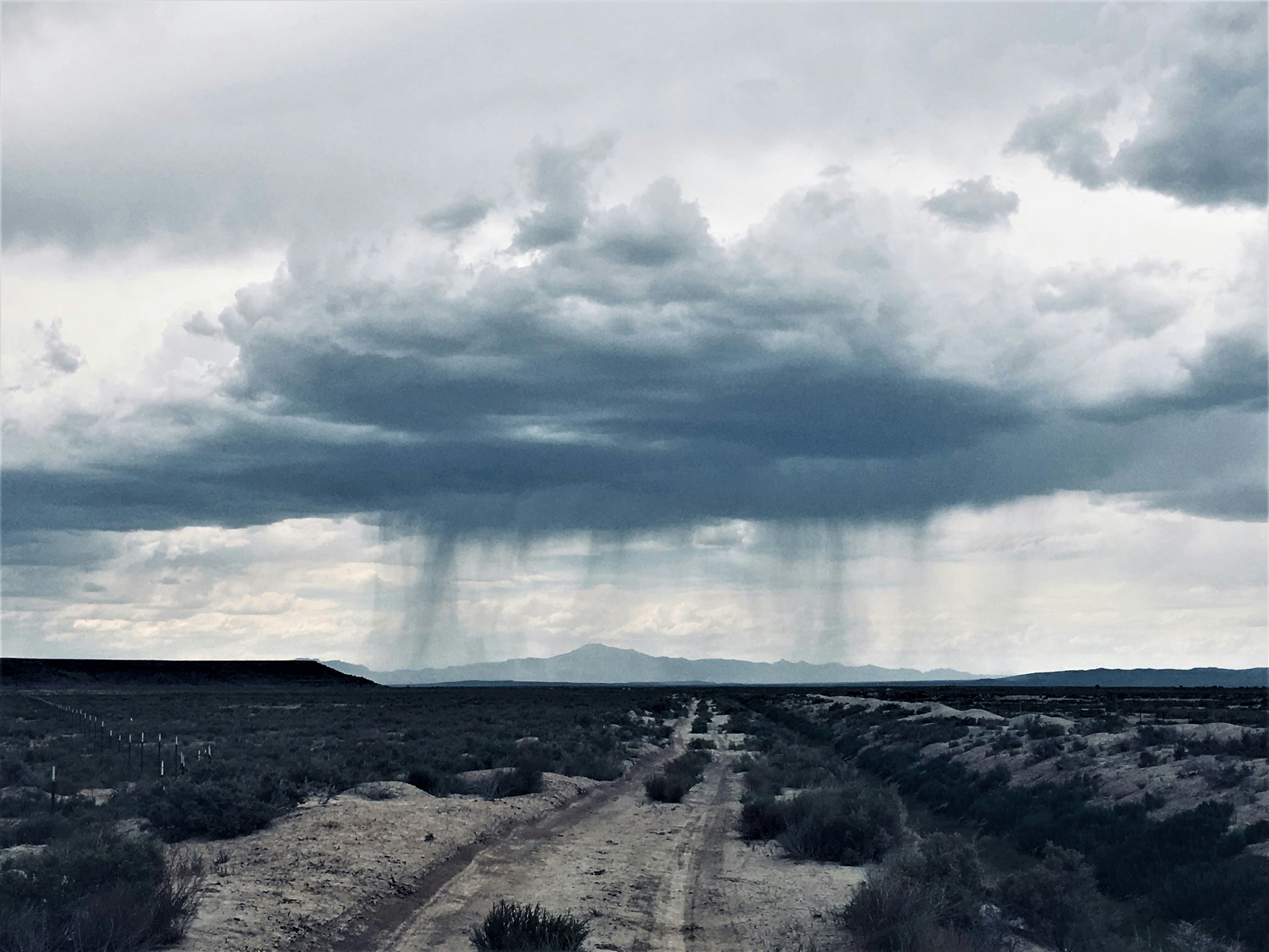 Photo by dan_oakes418