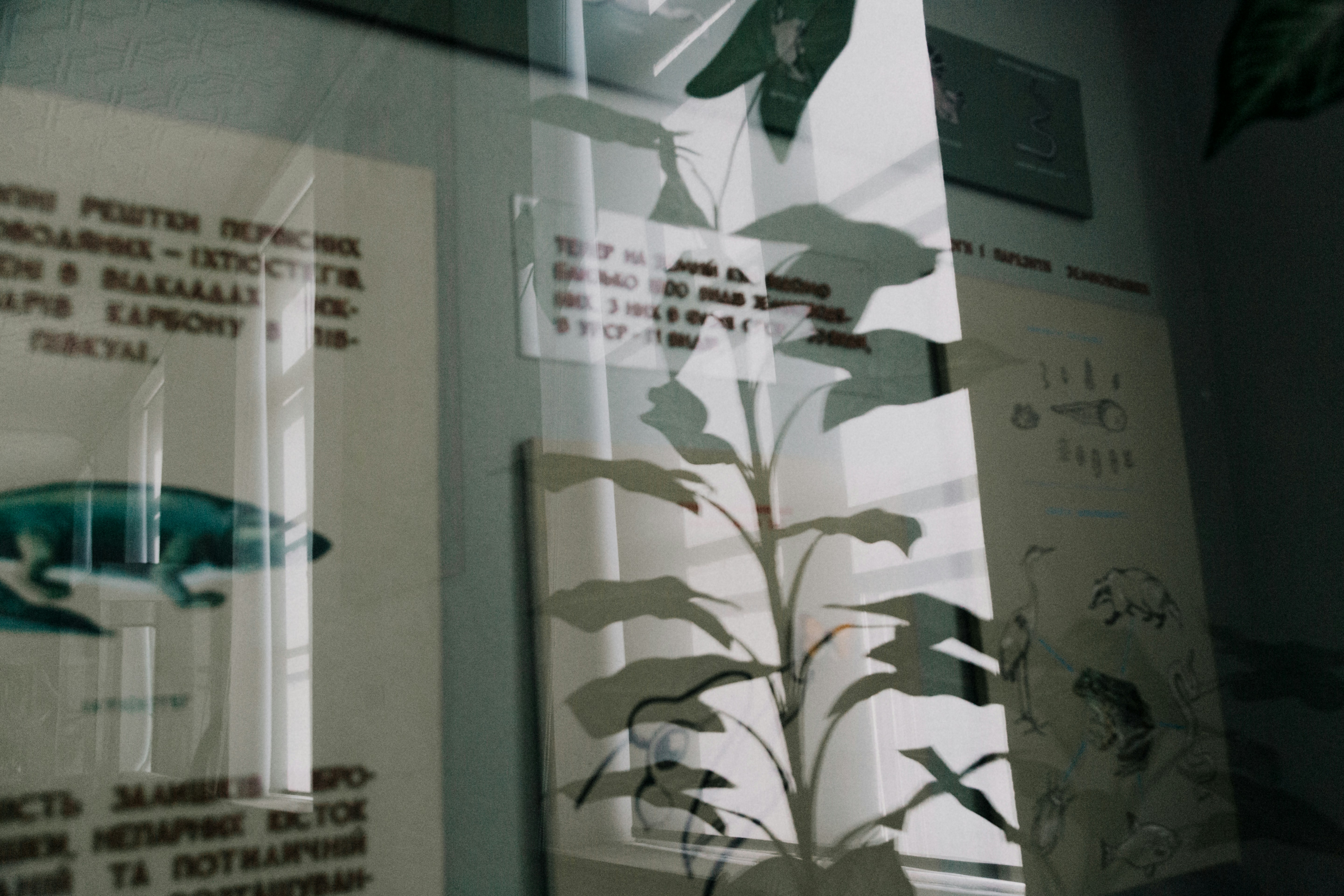 Photo by marjan_blan