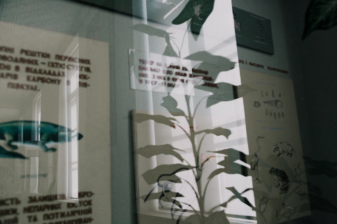 close view of bulletin board covered with glass