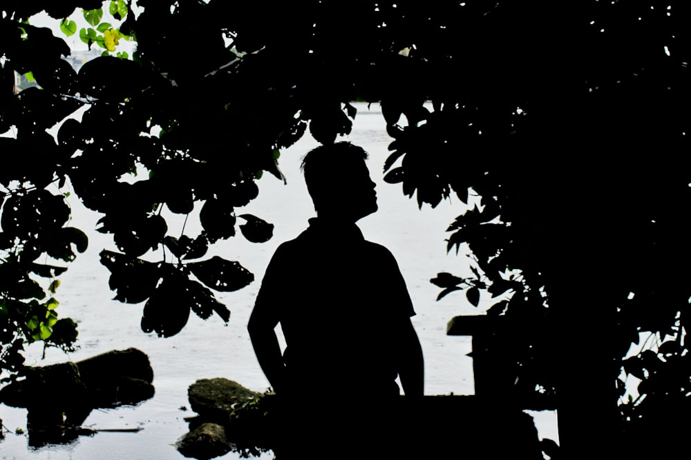 silhouette photography of person beside tree