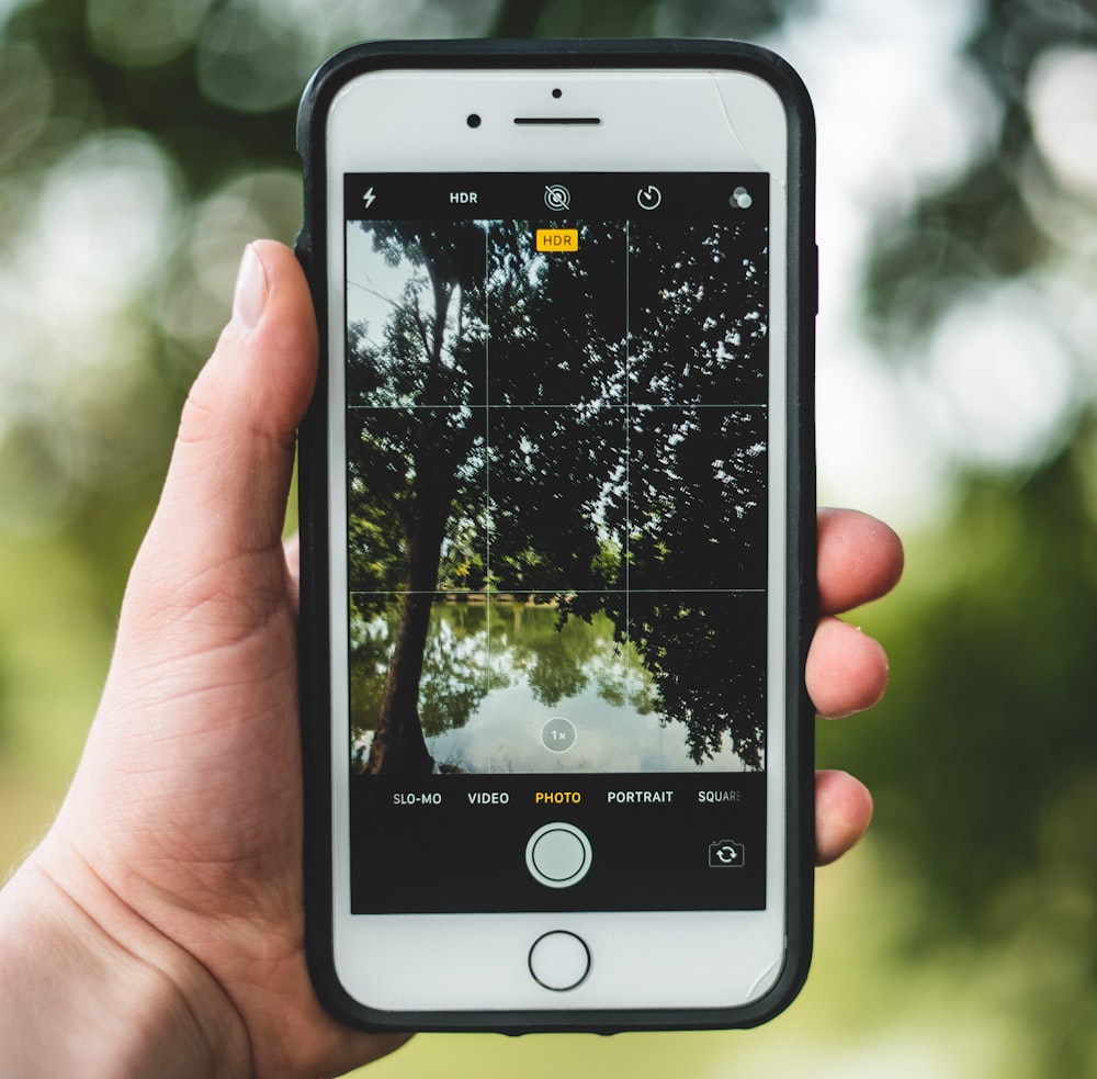 bokeh photography of green trees picture on iPhone screen