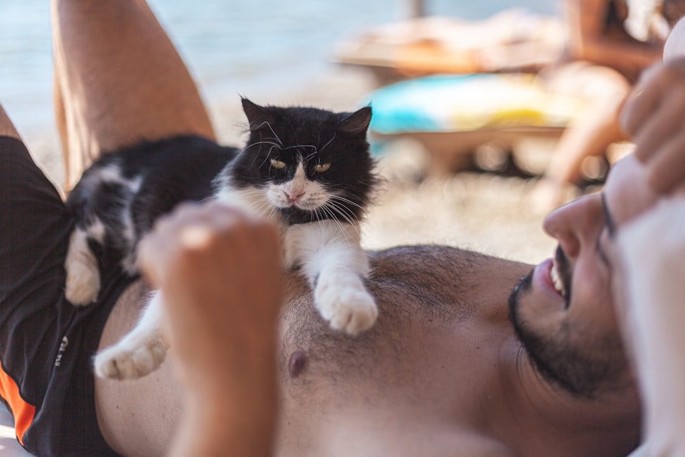 white and black cat on man's chest