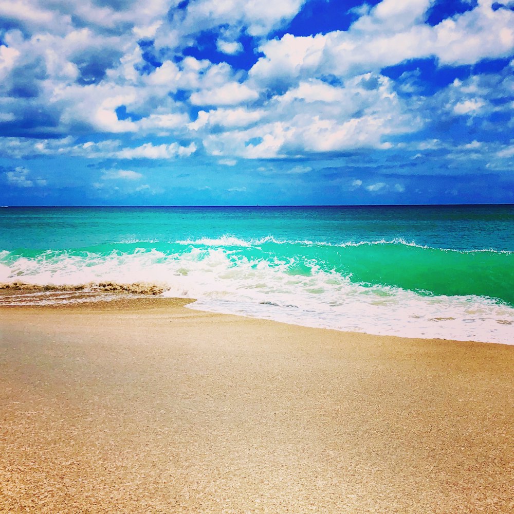 seashore view during cloudy day