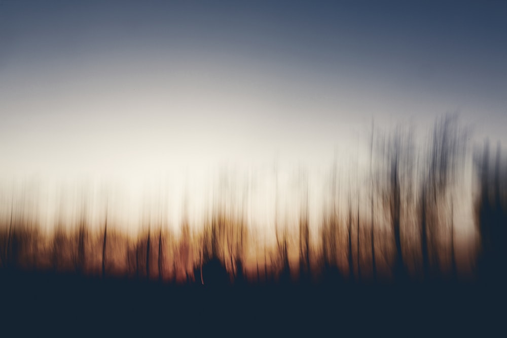 a blurry photo of trees in the distance