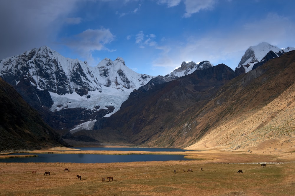 brown and white mountains during daytime photo