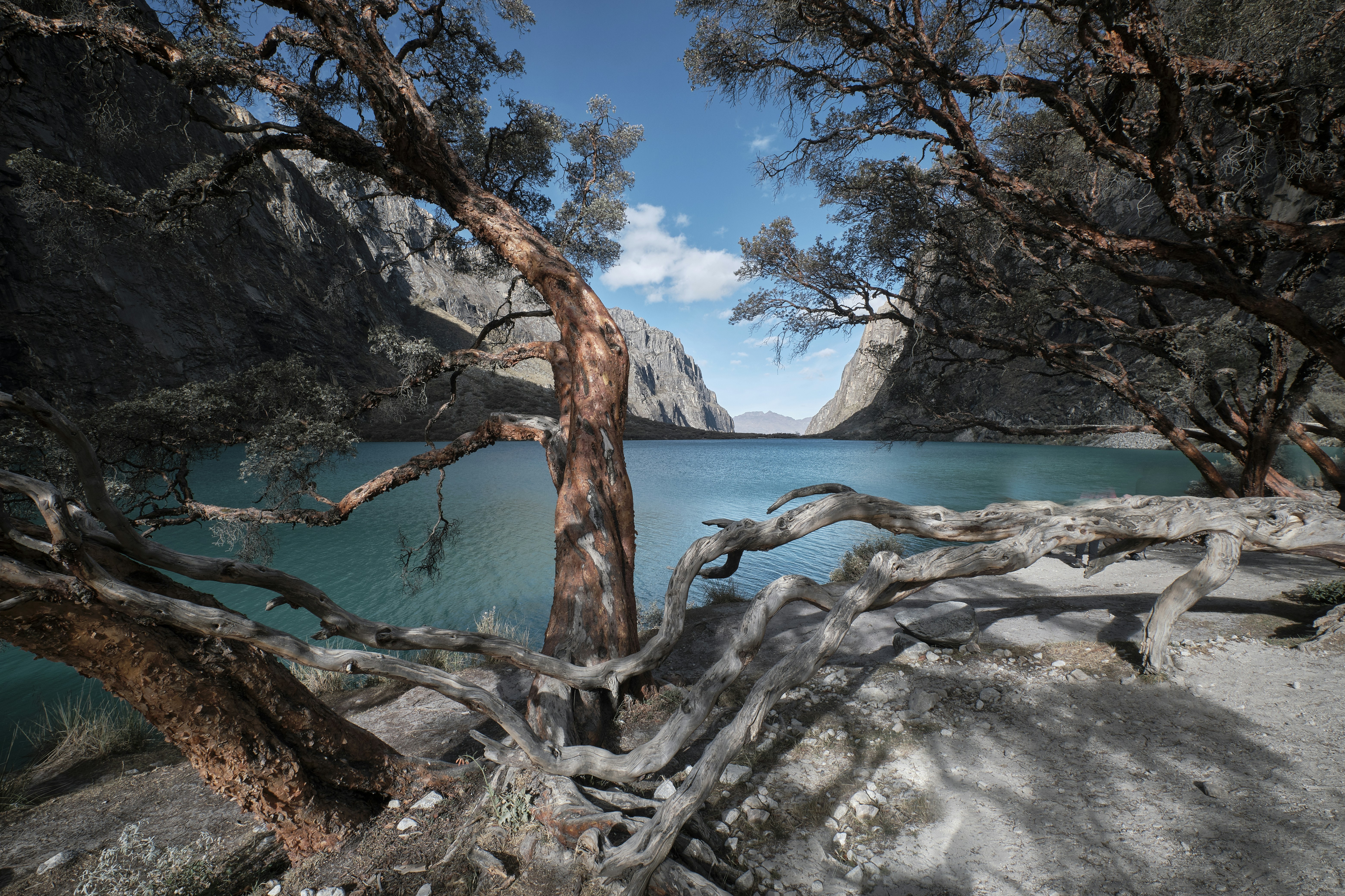teal ocean under white clouds