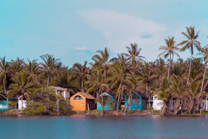 Warm coral-hued townhomes surrounded by lush greenery and palm trees under a clear sky.