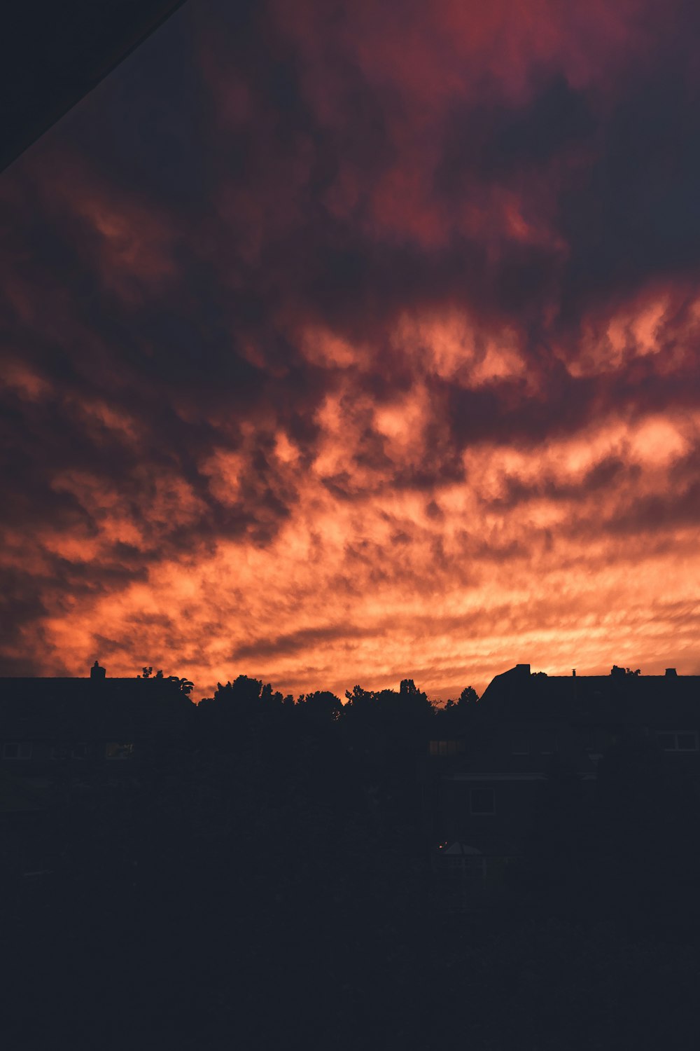 silhouette of trees under cloudy sky