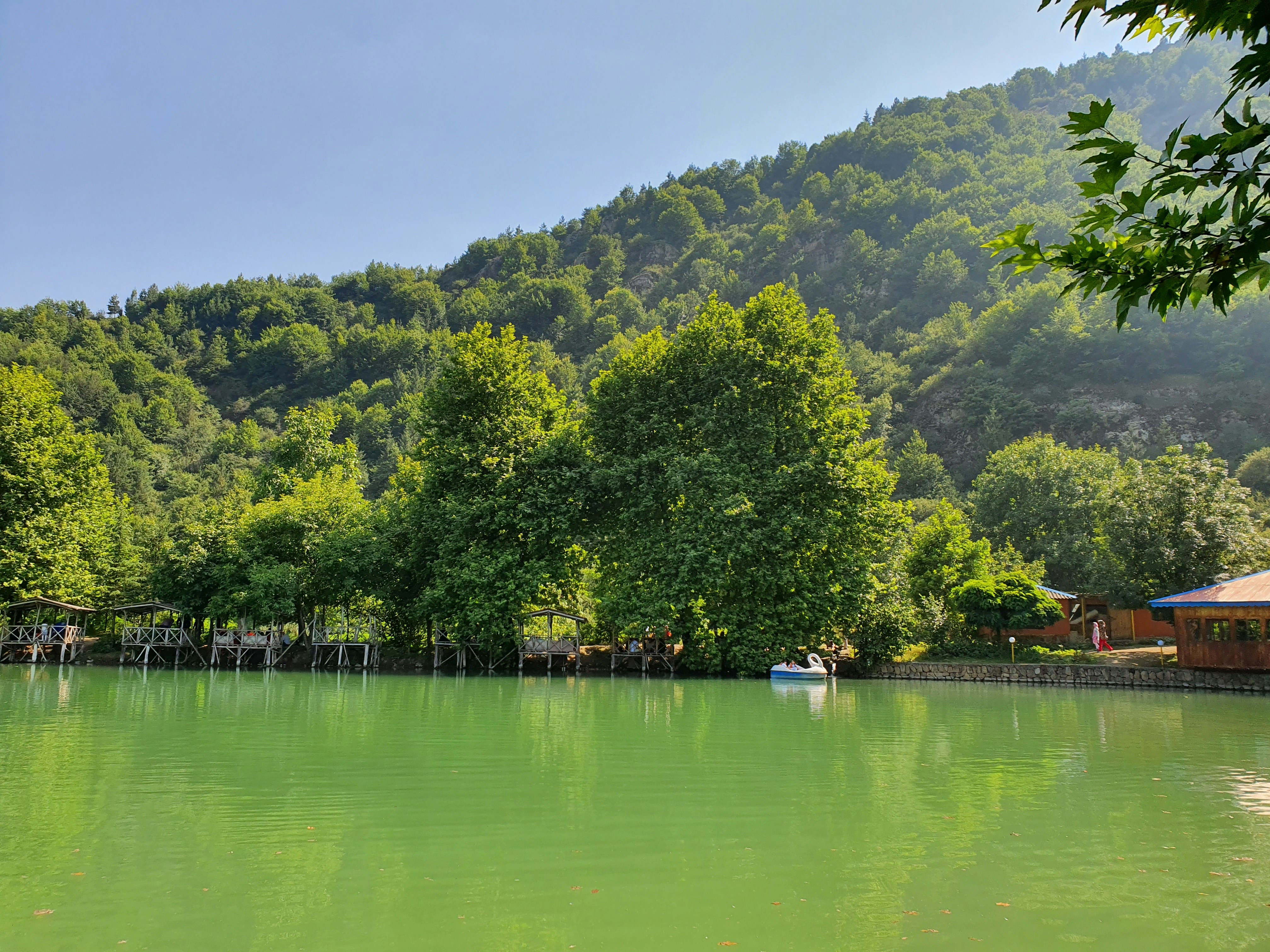 Photo by amirdeljouyi