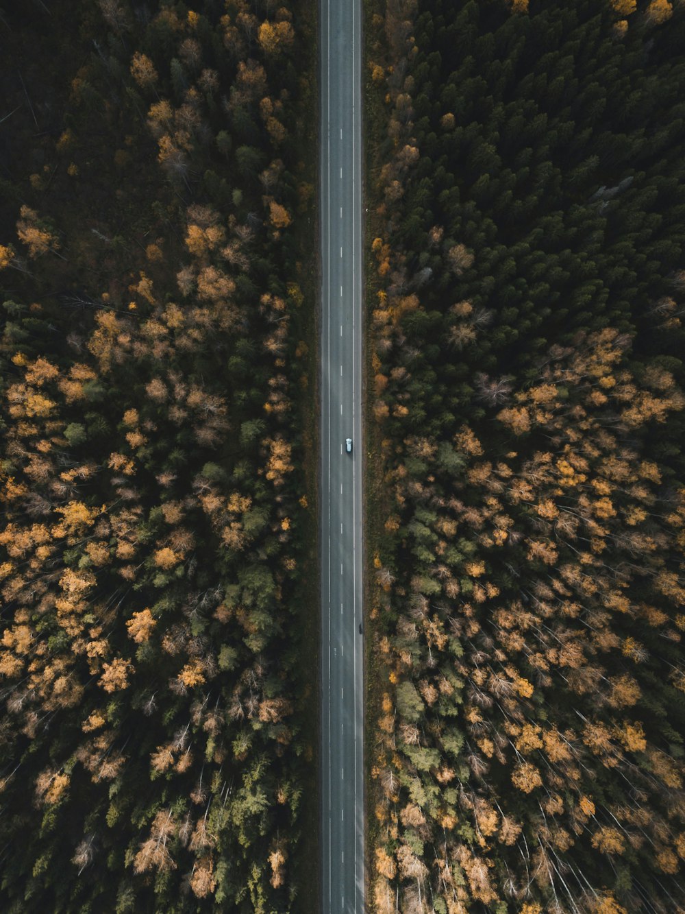 Photographie aérienne d’un véhicule circulant sur la route pendant la journée