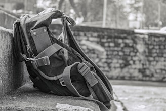 A vibrant outdoor scene featuring various styles of outdoor backpacks.