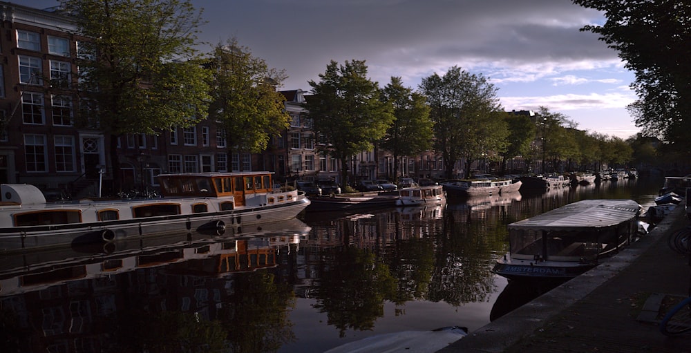 boats on river