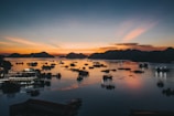 Sunset view over Samaná Bay with silhouettes of limestone hills and boats returning to port.