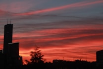 The image captures a vibrant sunset over a city skyline. Silhouetted buildings, including a tall skyscraper, stand against a dramatic sky painted with shades of orange, pink, and red. A tree is also seen in silhouette in the foreground.