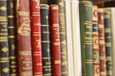 Close-up of vintage book covers arranged in a neat row on a shelf.