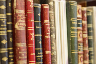 Close-up of vintage book covers arranged in a neat row on a shelf.