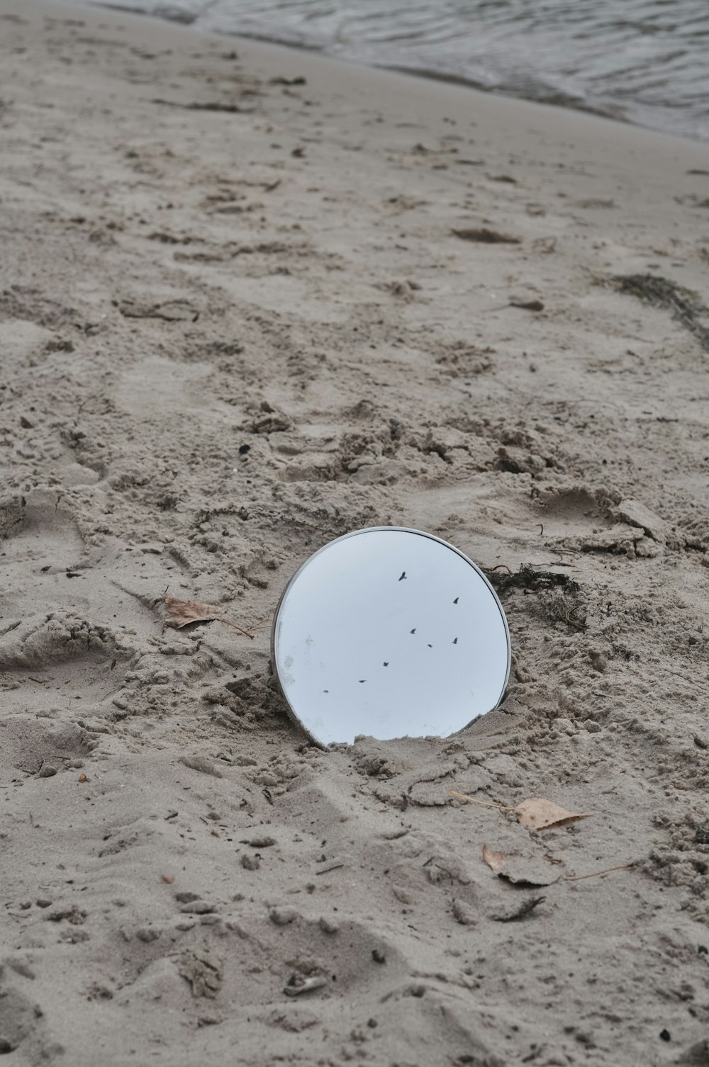 white round plastic on brown soil