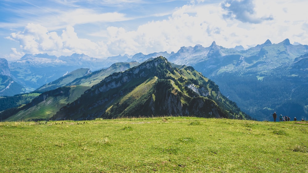 green grass field