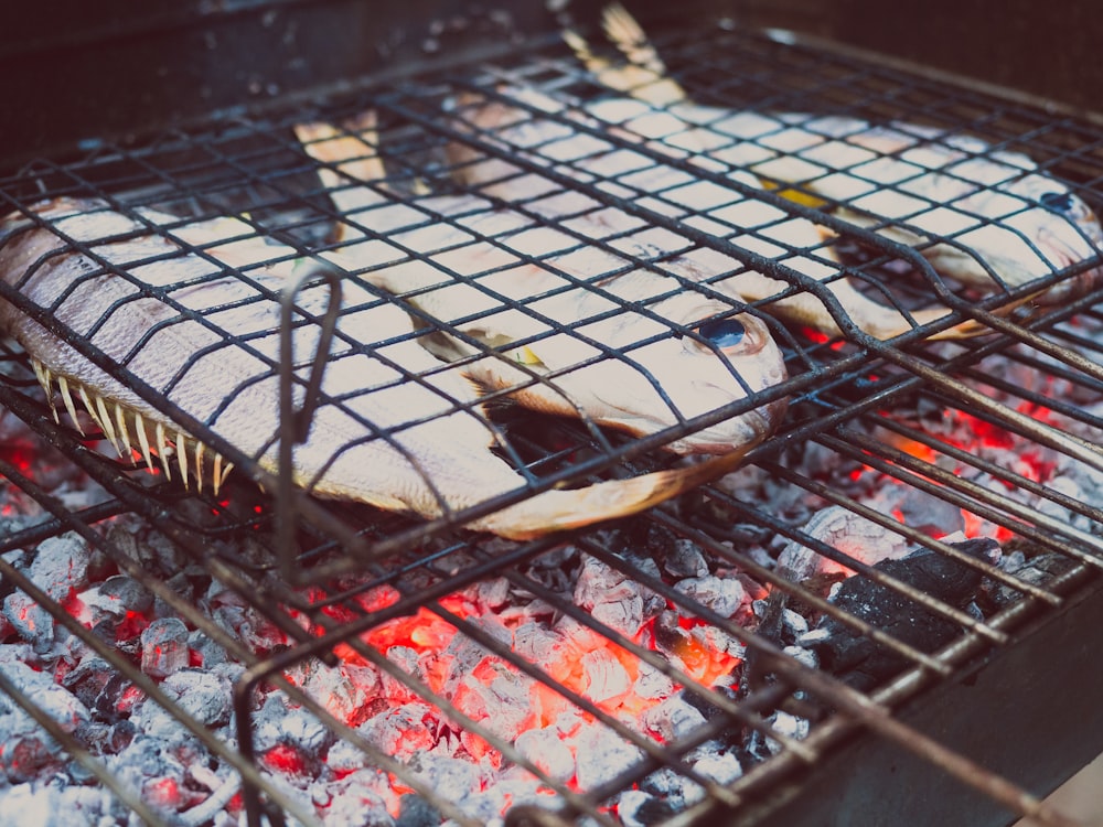 shallow focus photo of fish grilling
