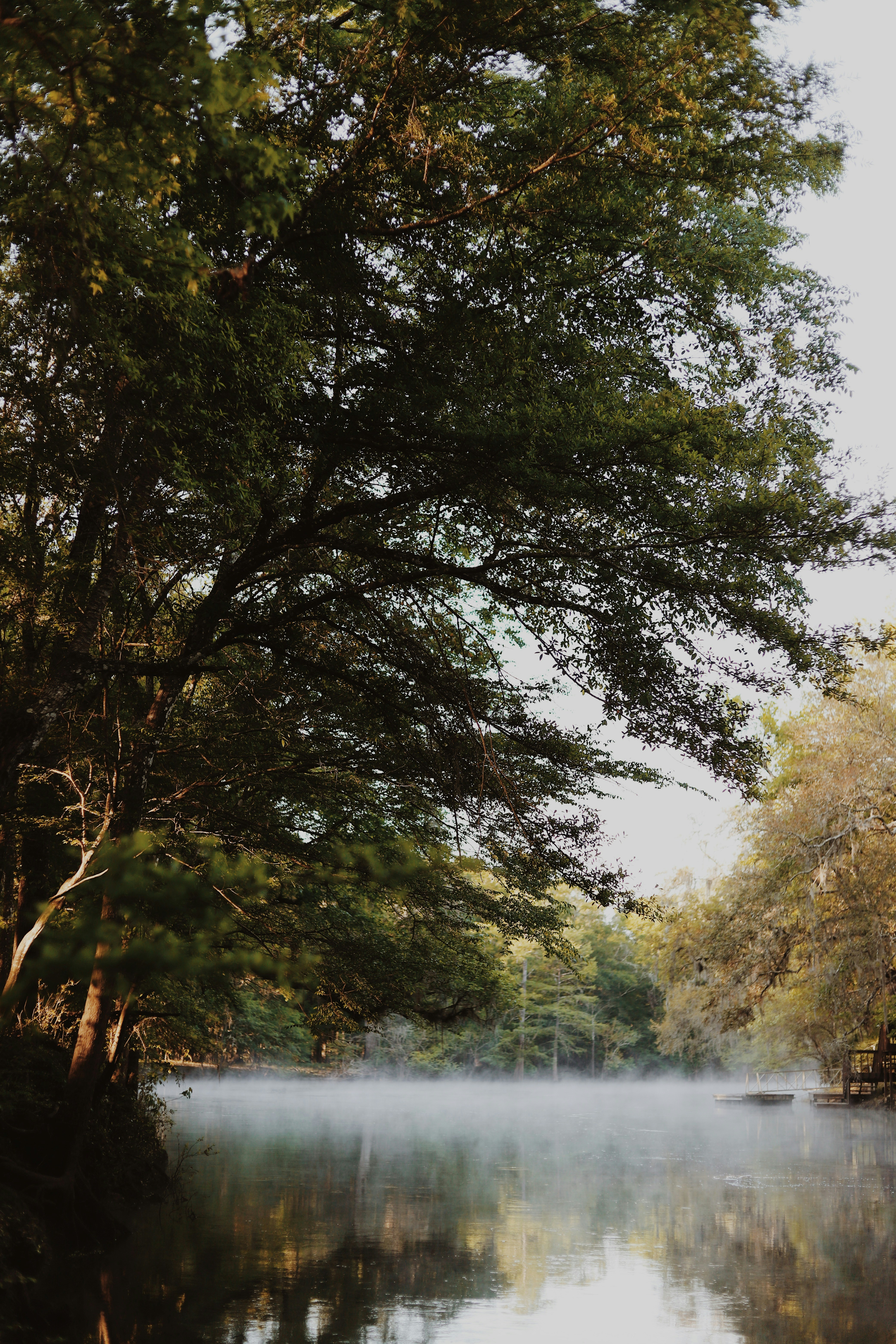 Photo by amyjoyhumphries