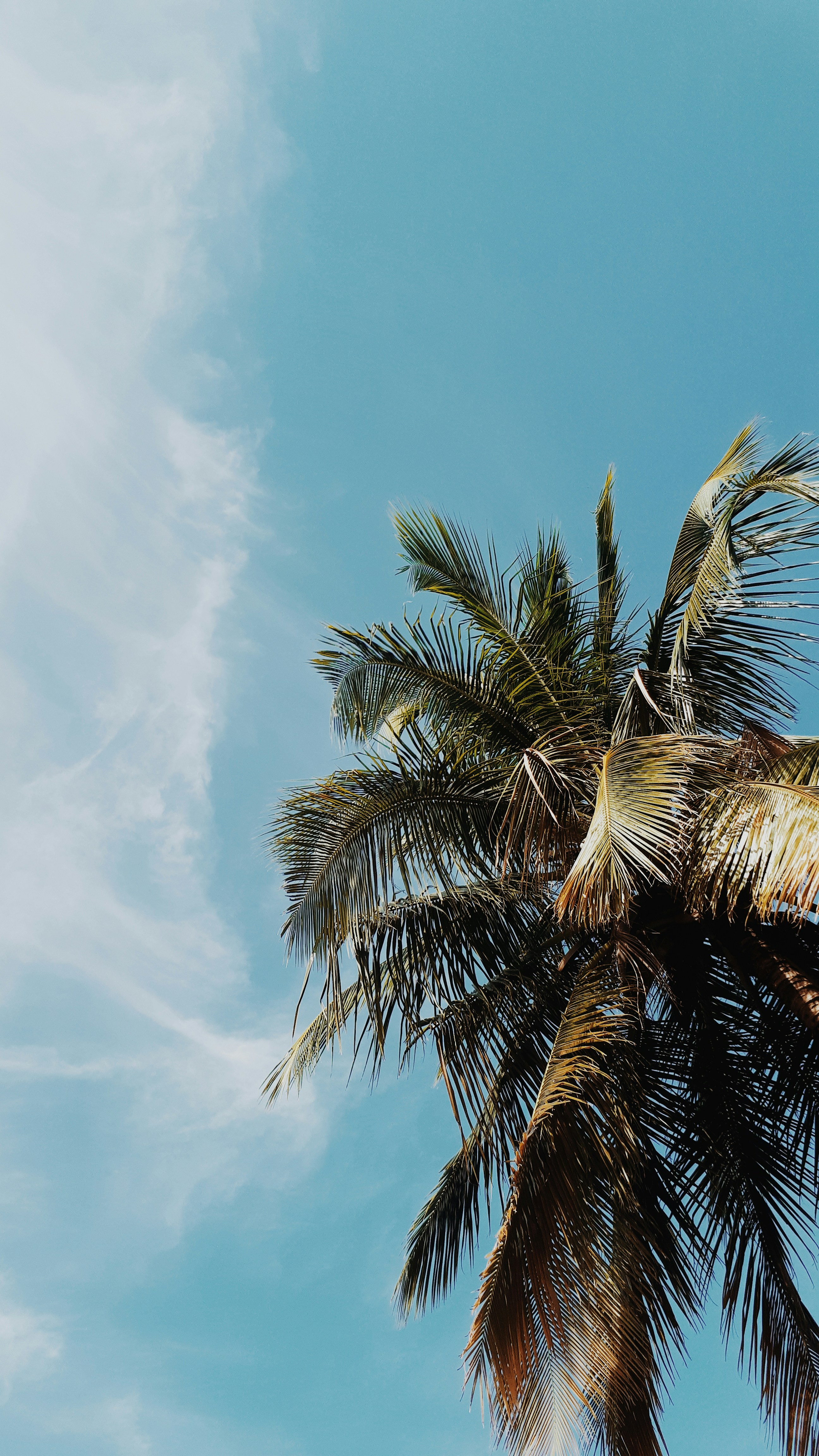 Photo by julinamedeiros