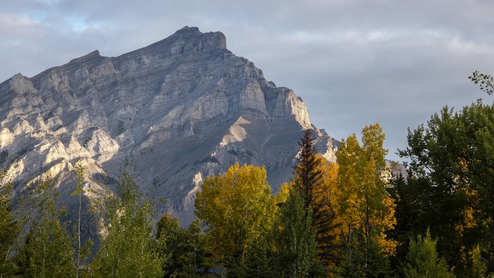 mountain summit view during daytime