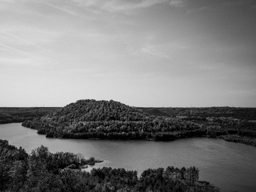 Wald und Fluss tagsüber