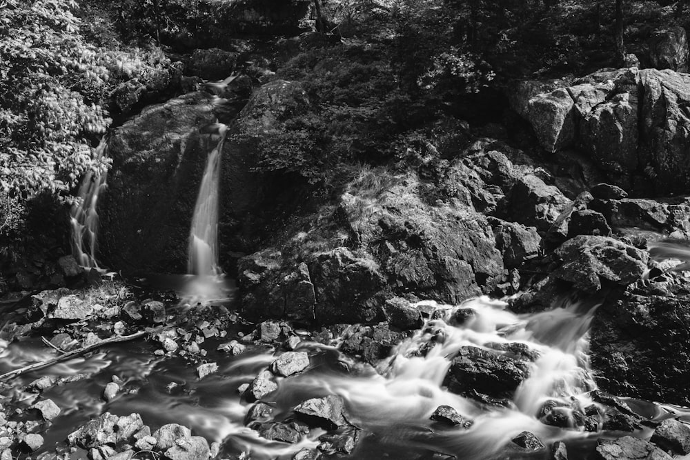 Graustufen-Foto-Wasserfälle