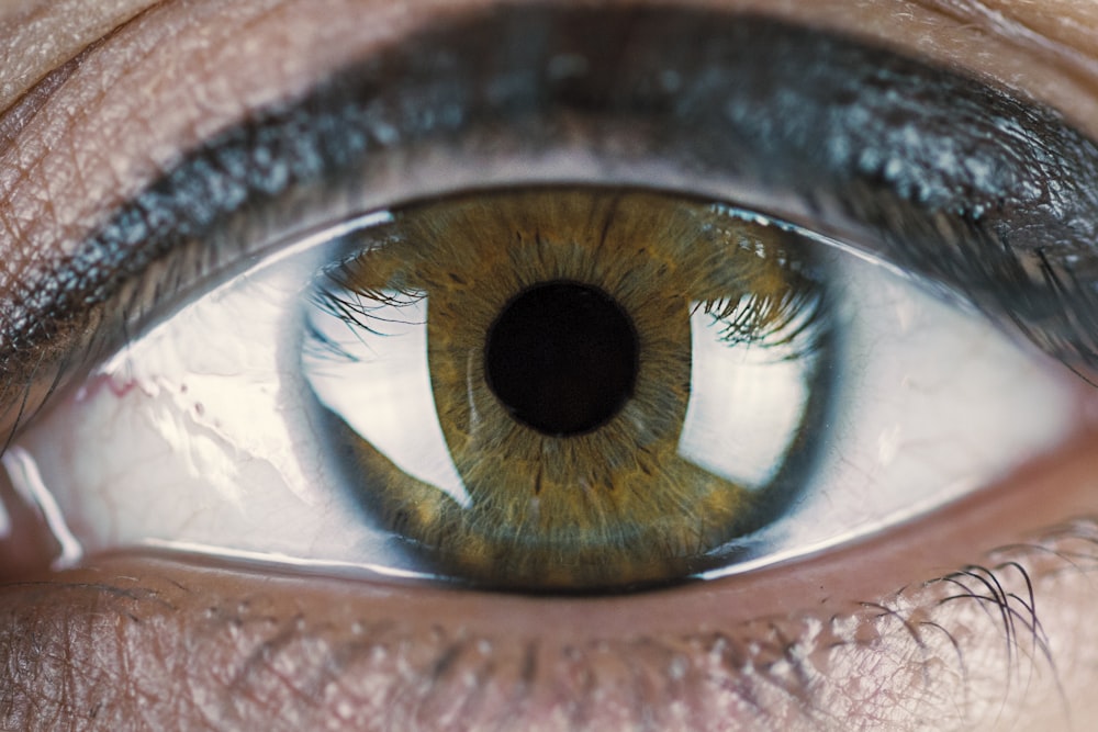 closeup photo of human eye