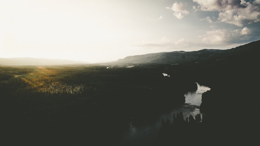 forest and river during day