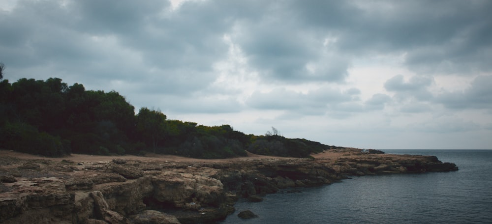 seashore during daytime