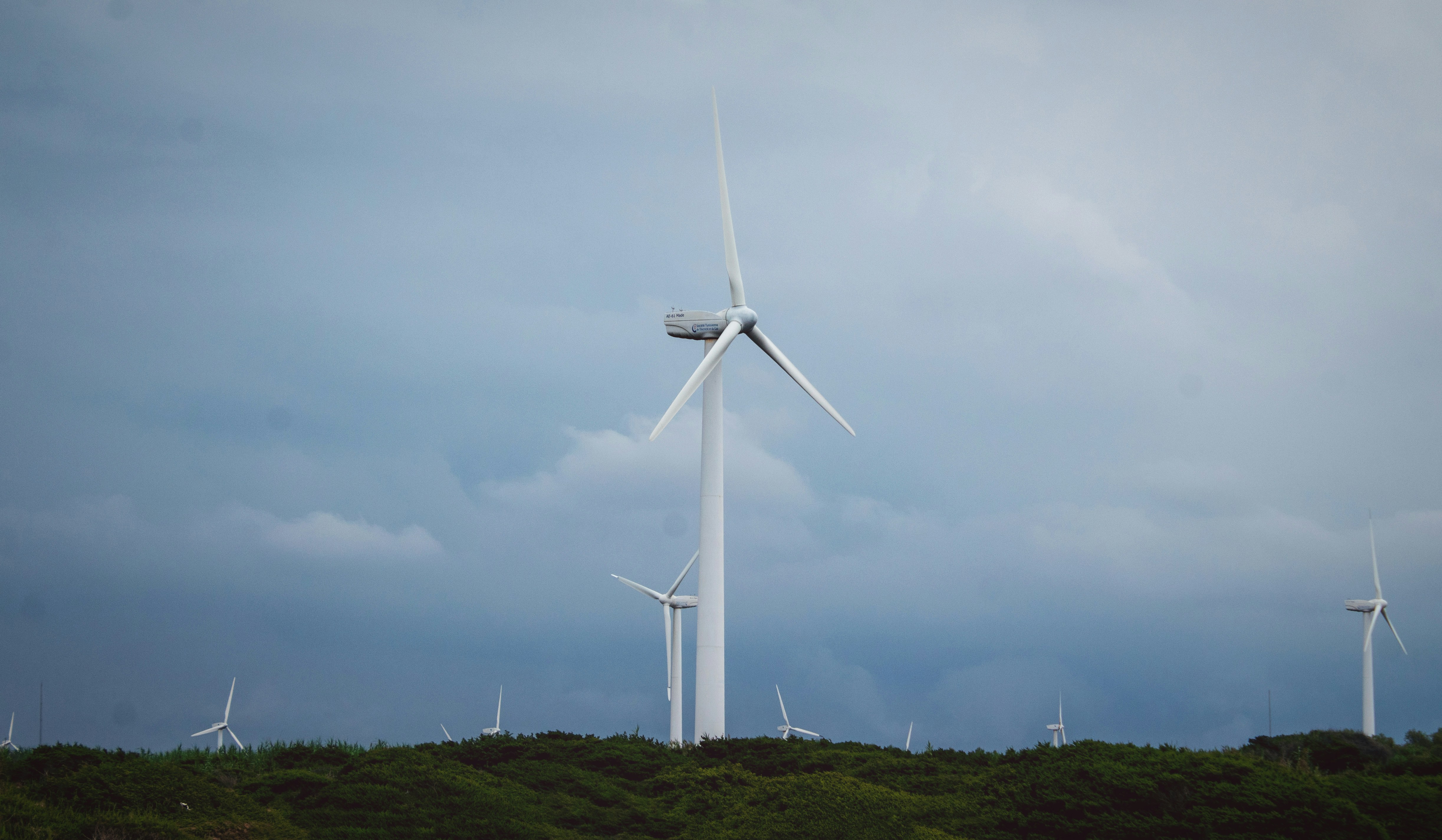 Photo by haythemgataa