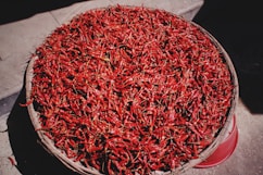 spice on winnowing basket on gray surface