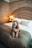 A cozy pet bed in a stylish living room setting with a happy dog.