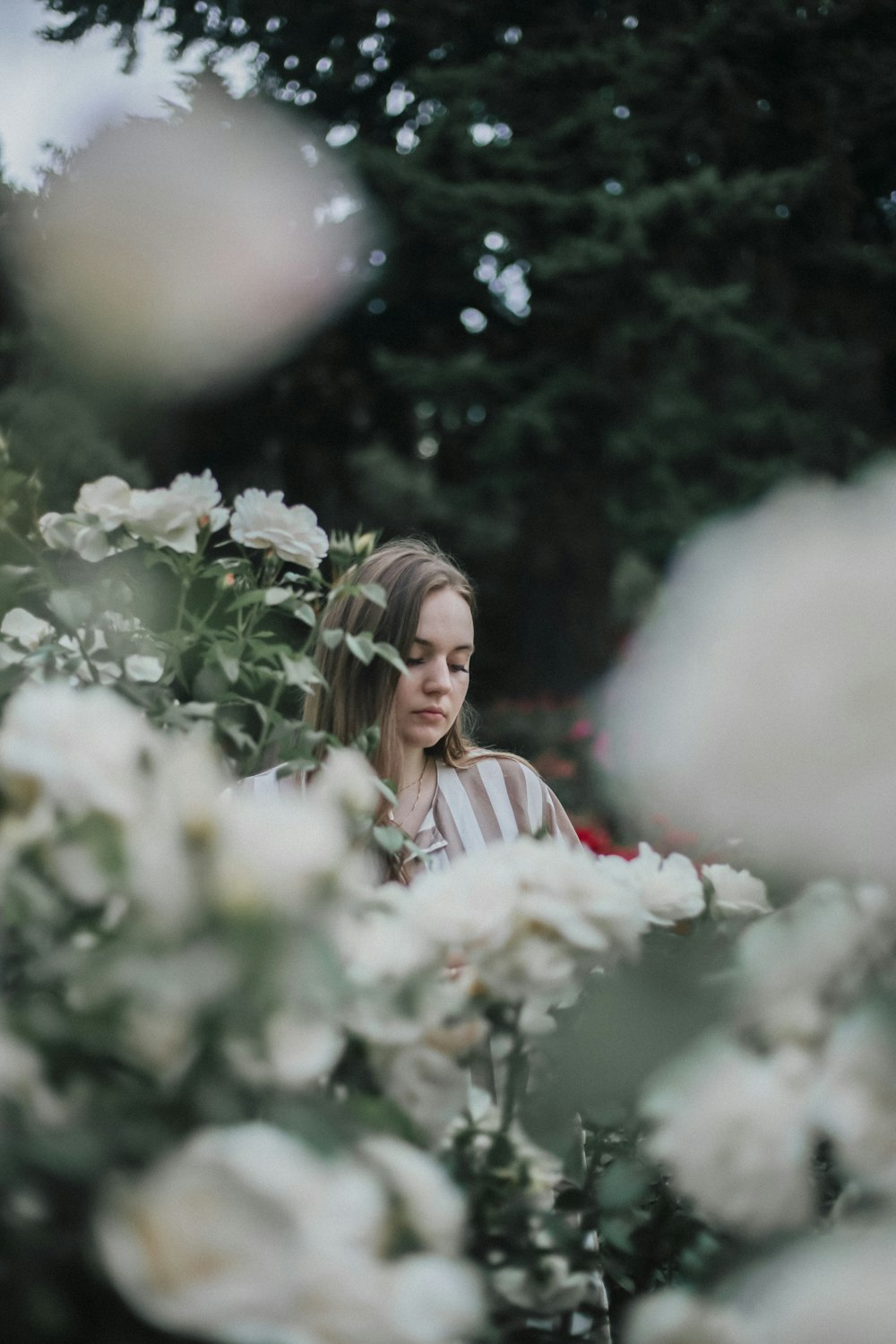 Mujer cerca de flores blancas