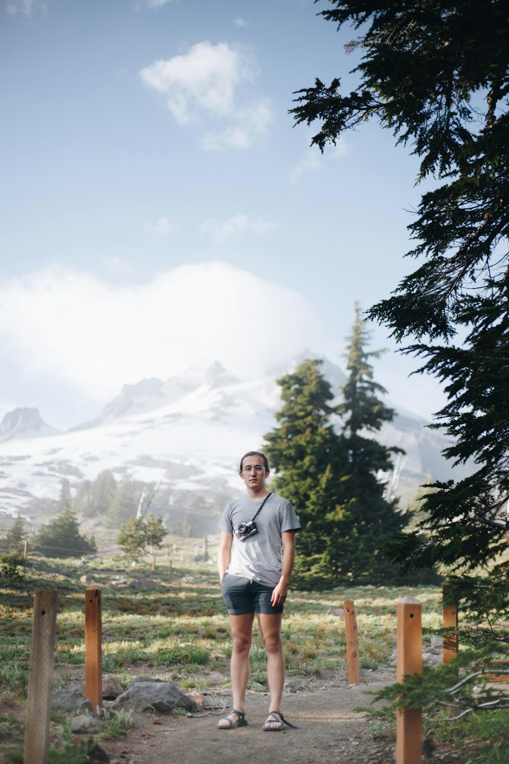 man standing near tree