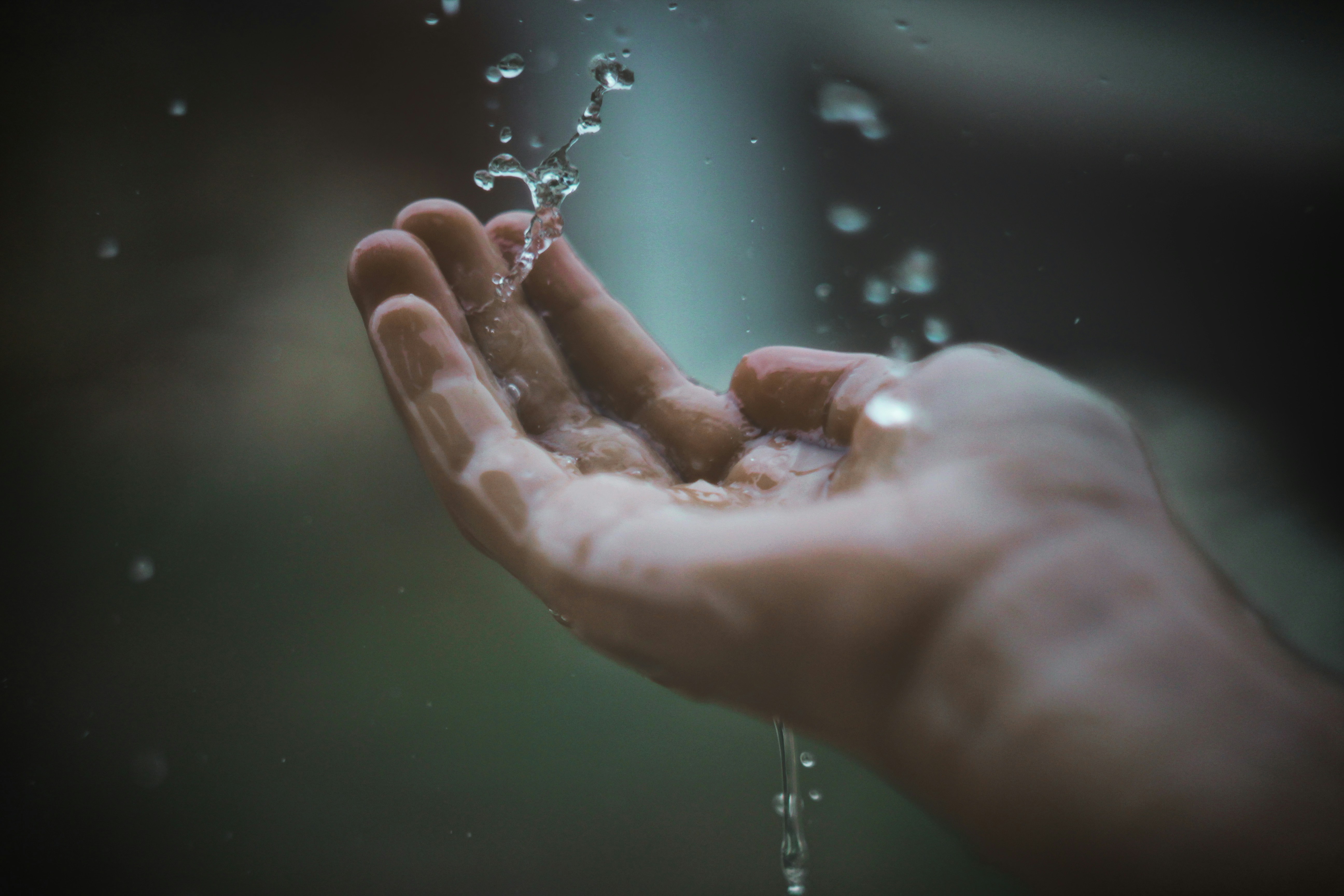 Photo by haythemgataa