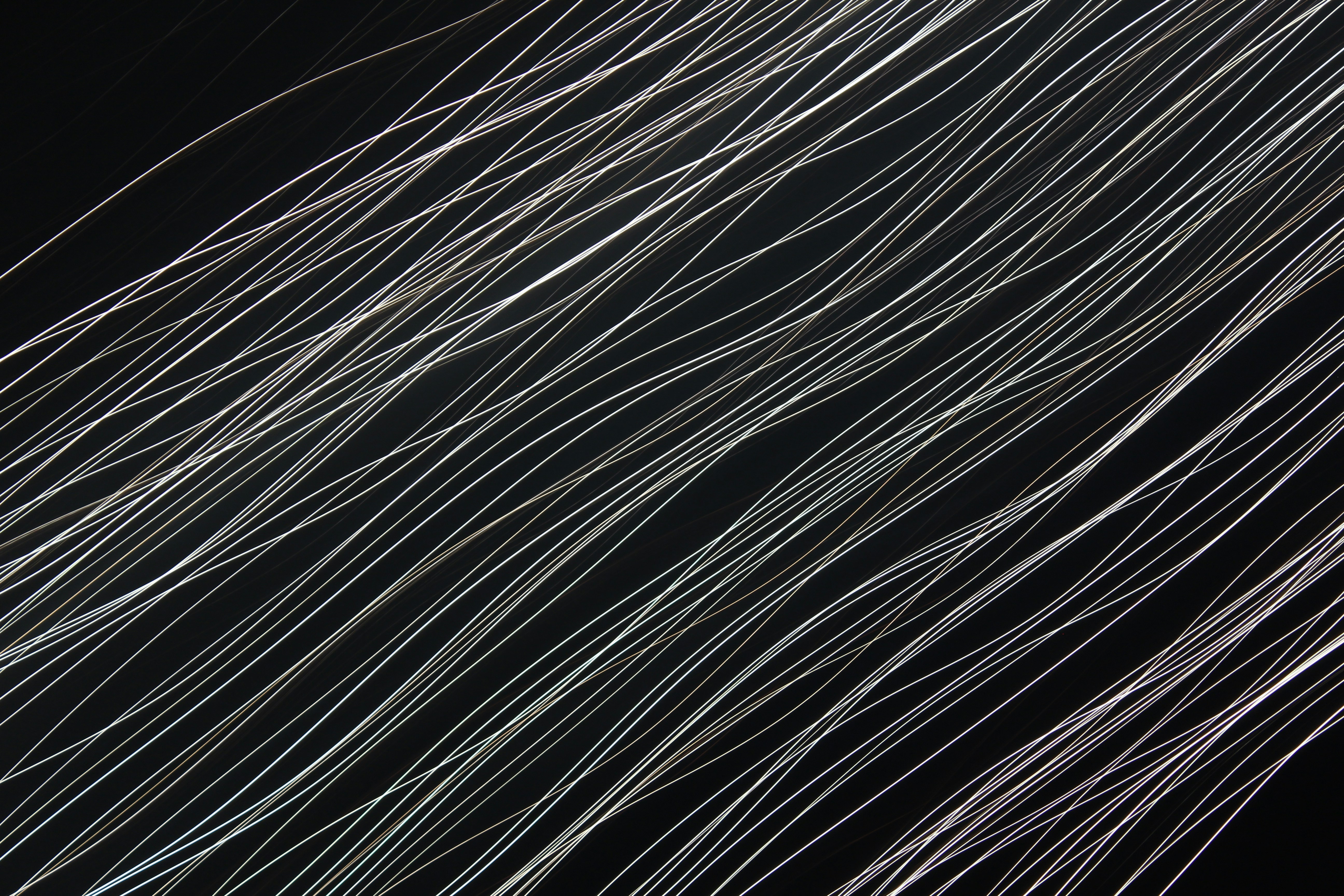 Photo by levi_midnight