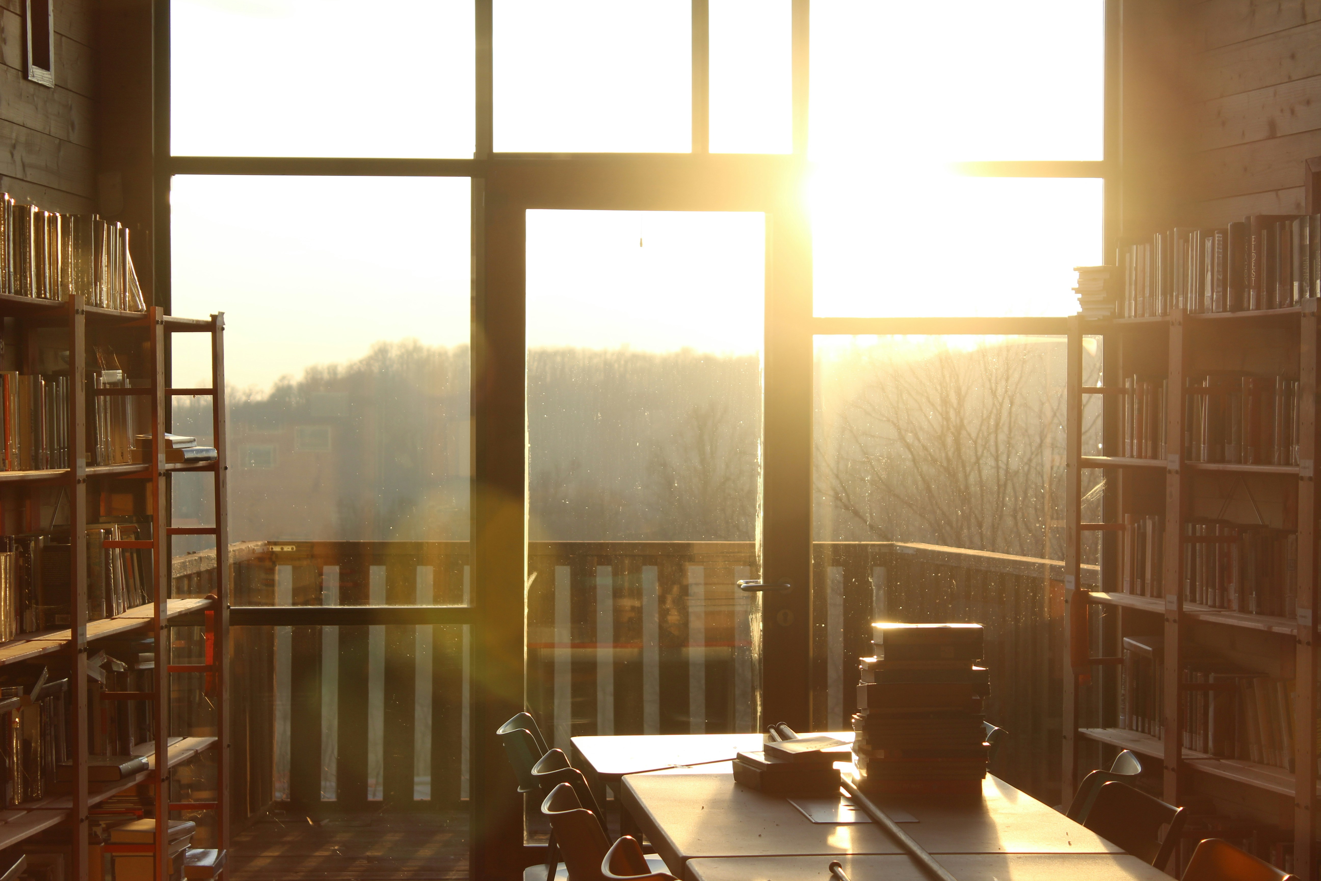 Photo by levi_midnight