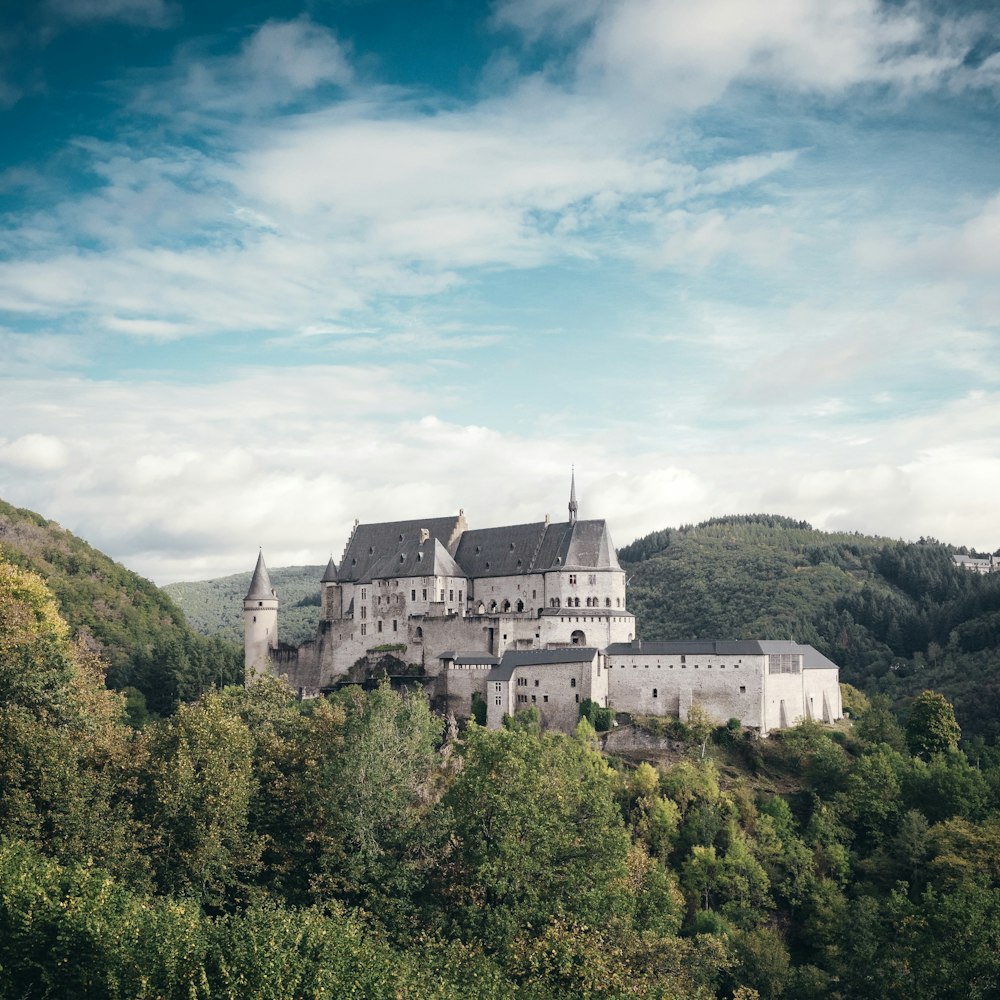 castle on forest