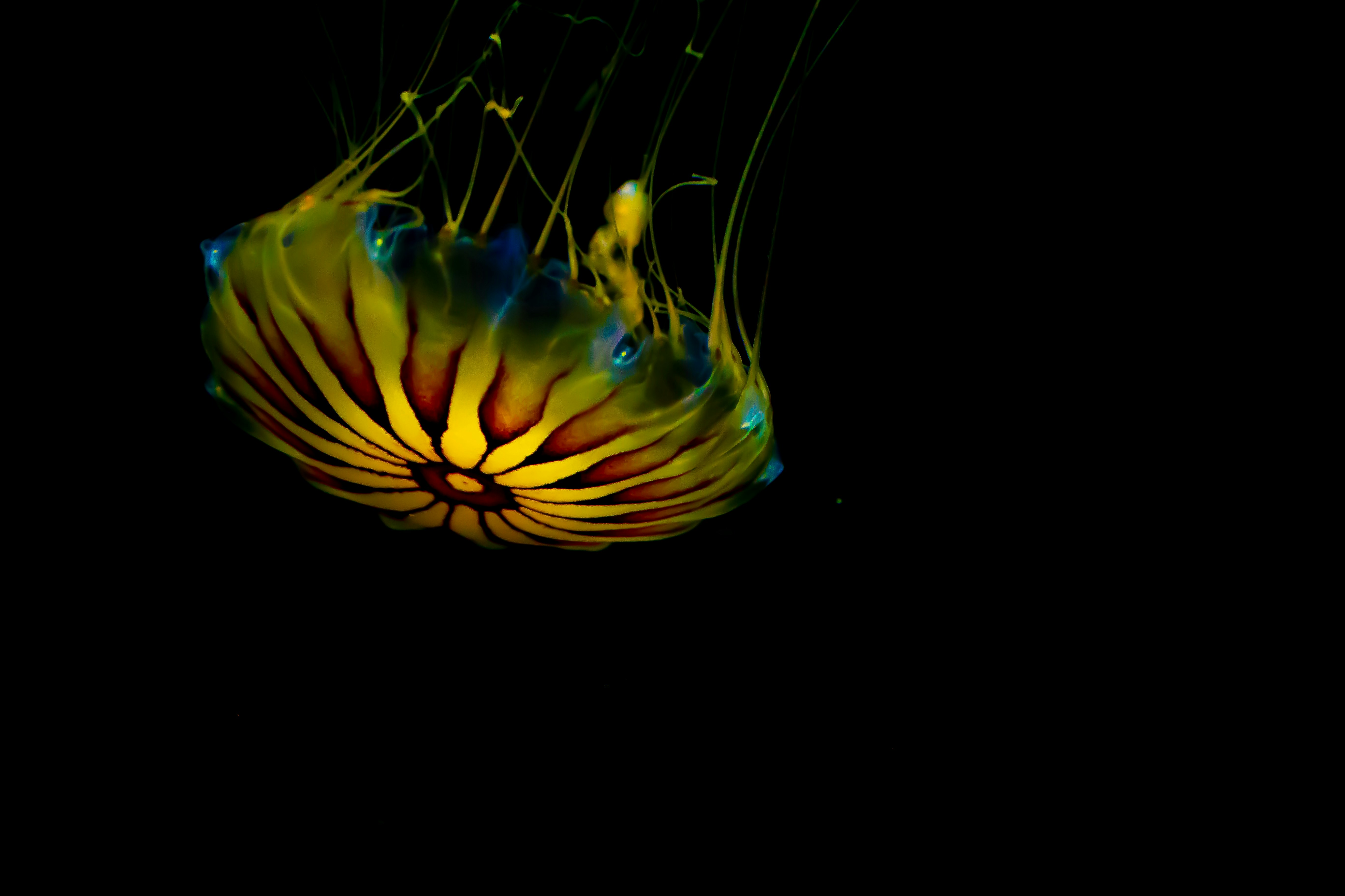 Photo by grahamohayonphotography