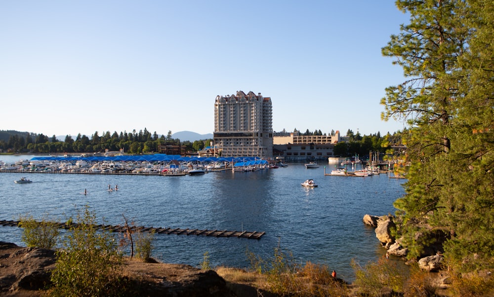 blue body of water near high-rise building