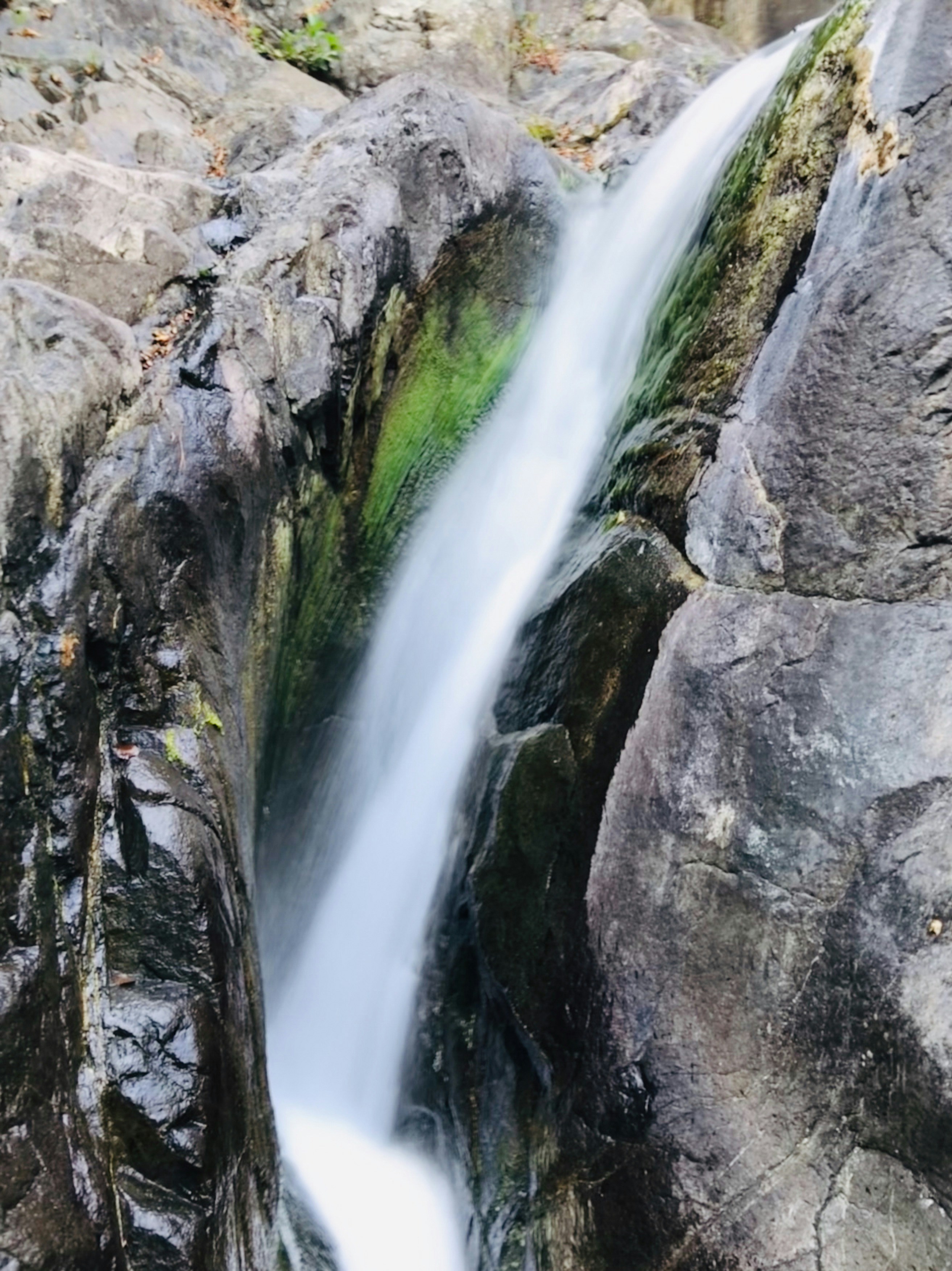 Photo by picturesbyalbert