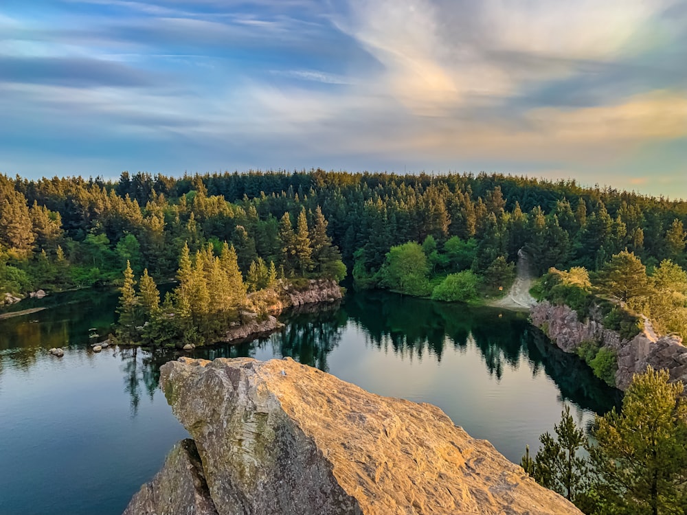 body of water near trees