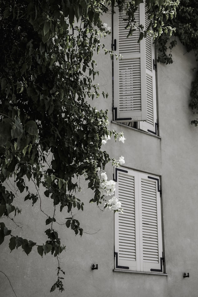 two white windows on building beside tree