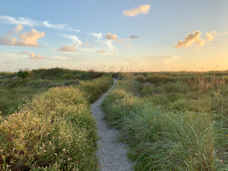 A sunlit sandy path winding through soft dunes under a pastel sky at dawn.