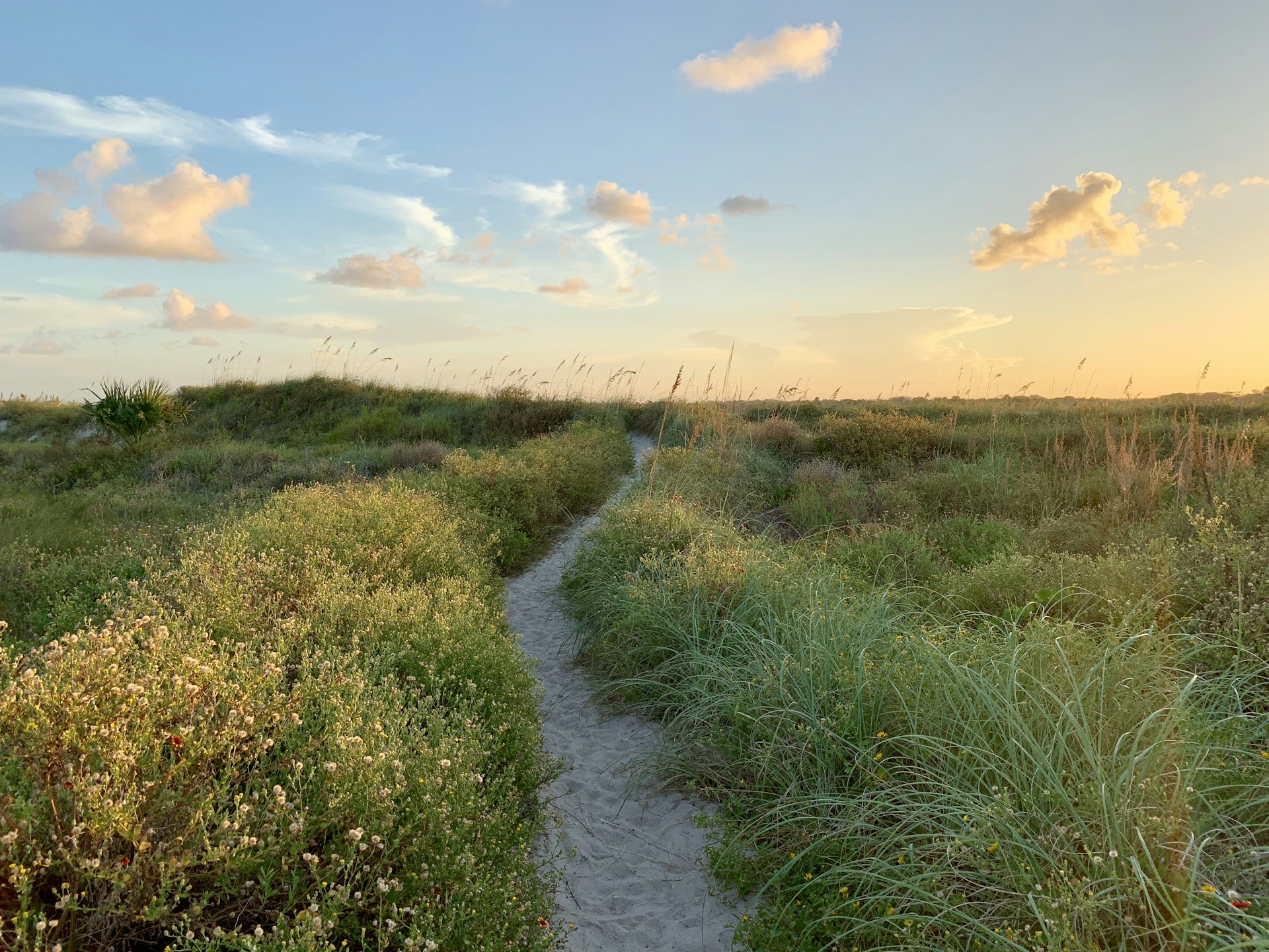 woman wearing yellow long-sleeved dress under white clouds and blue sky during daytime