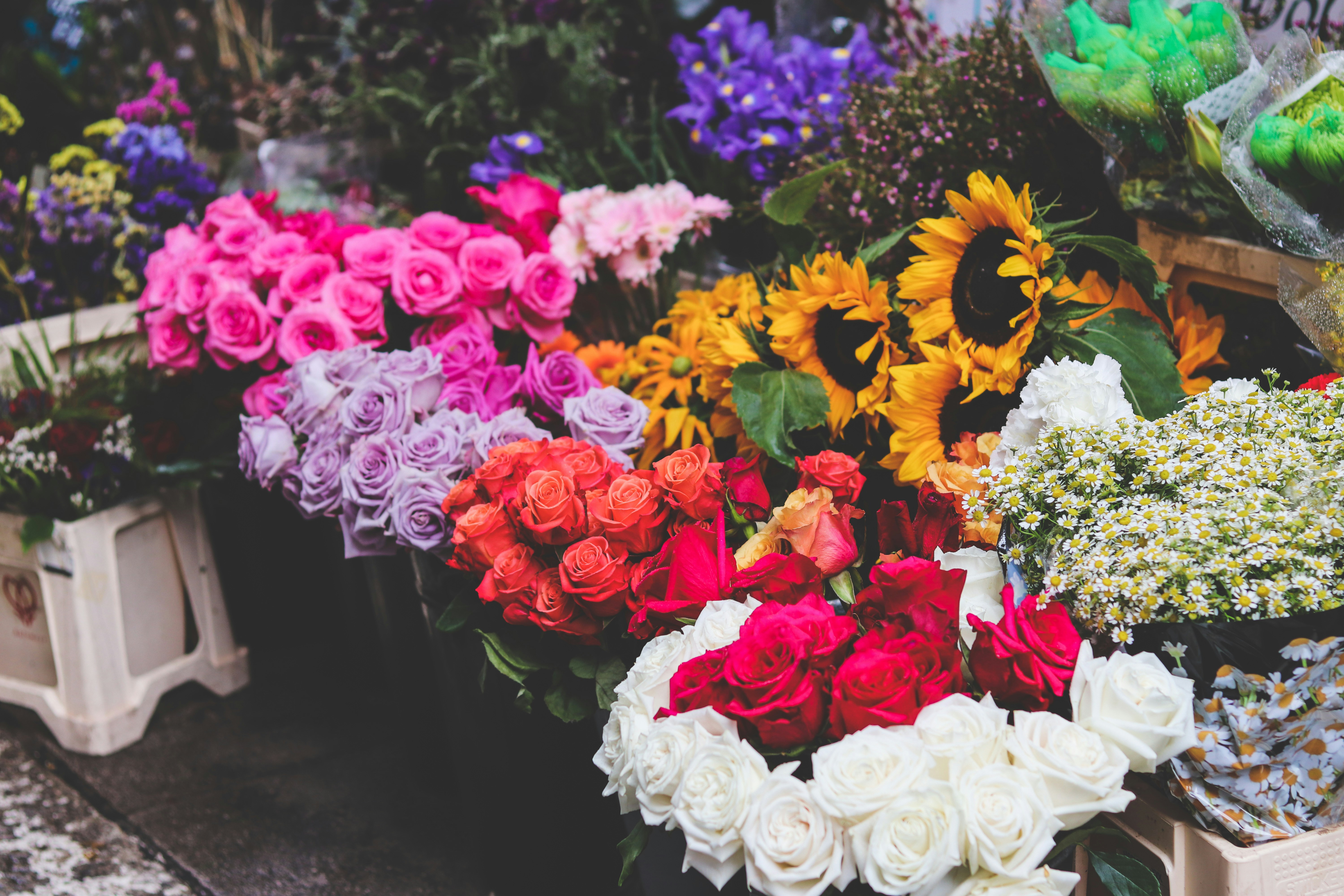 Photo by honeypoppet