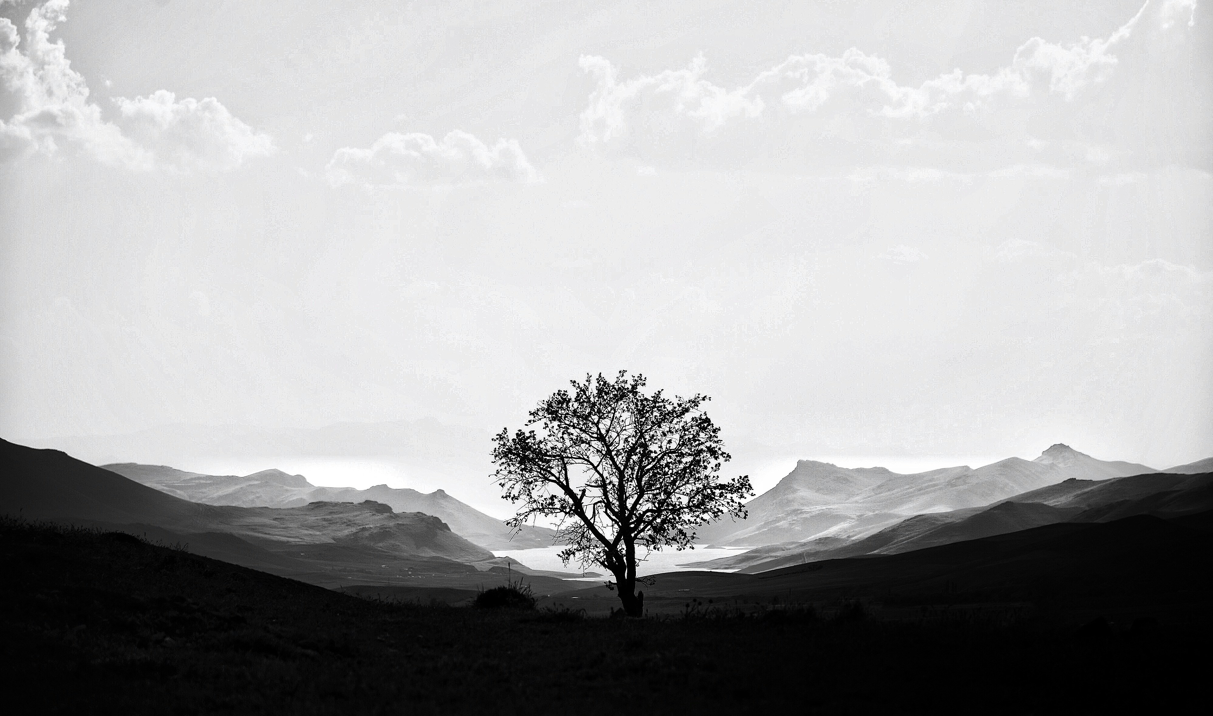 Photo by bahrambayat